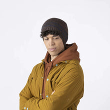Load image into Gallery viewer, Pistil Designs Elroy Beanie