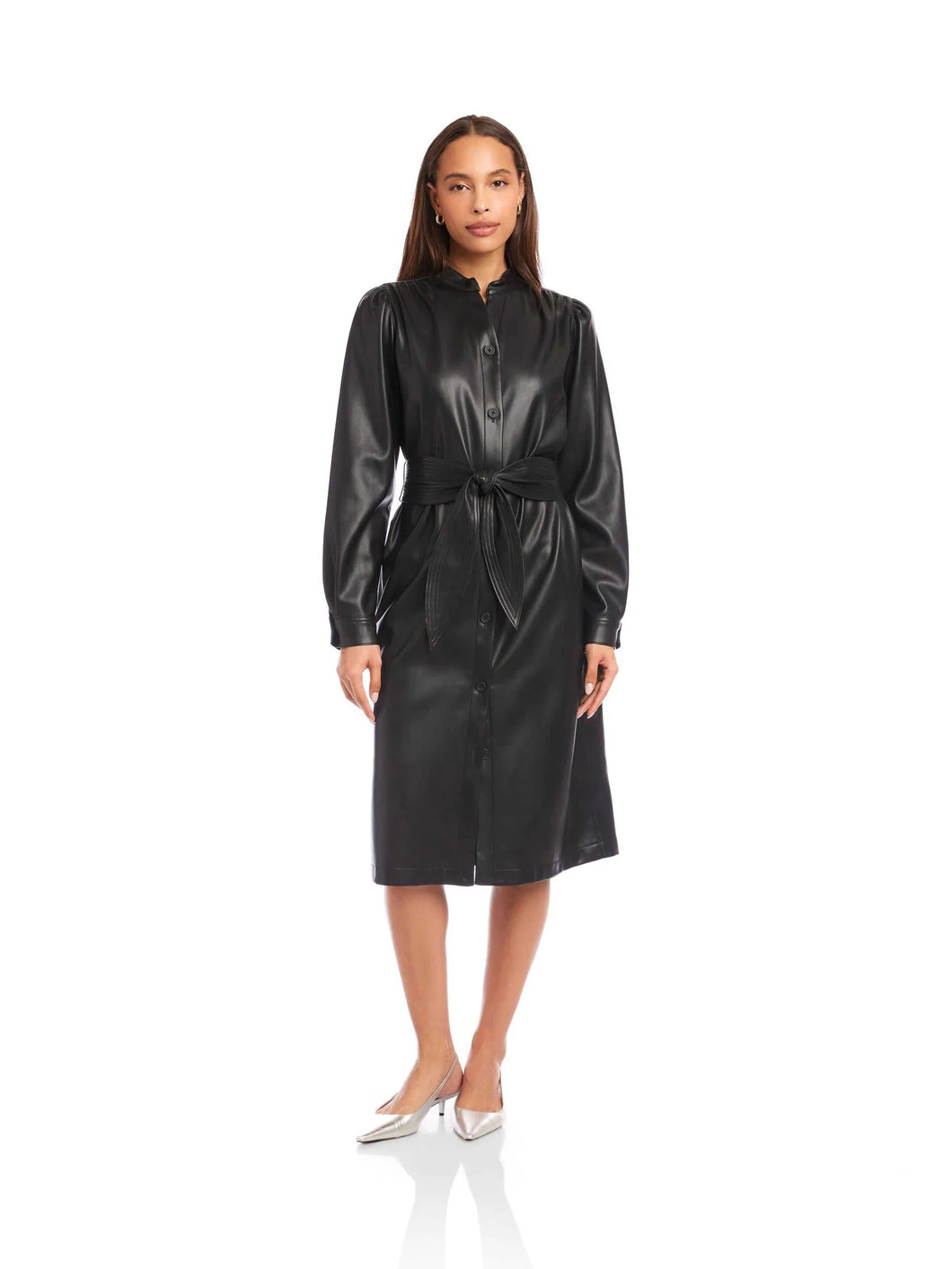 Fifteen Twenty Jennifer Dress