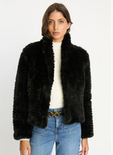 Load image into Gallery viewer, Caballero Ivanna Jacket
