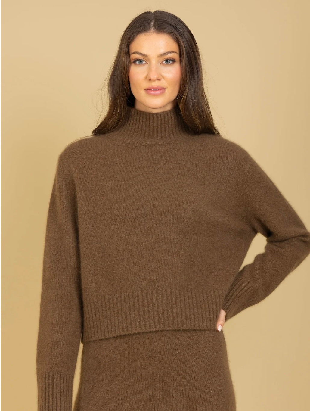 Jessie Liu Mohair Mock Neck Sweater