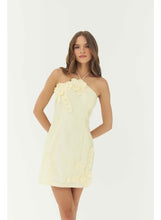 Load image into Gallery viewer, Hutch Delanie Dress
