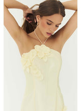 Load image into Gallery viewer, Hutch Delanie Dress
